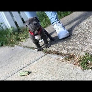 Meet your Posher, Advier